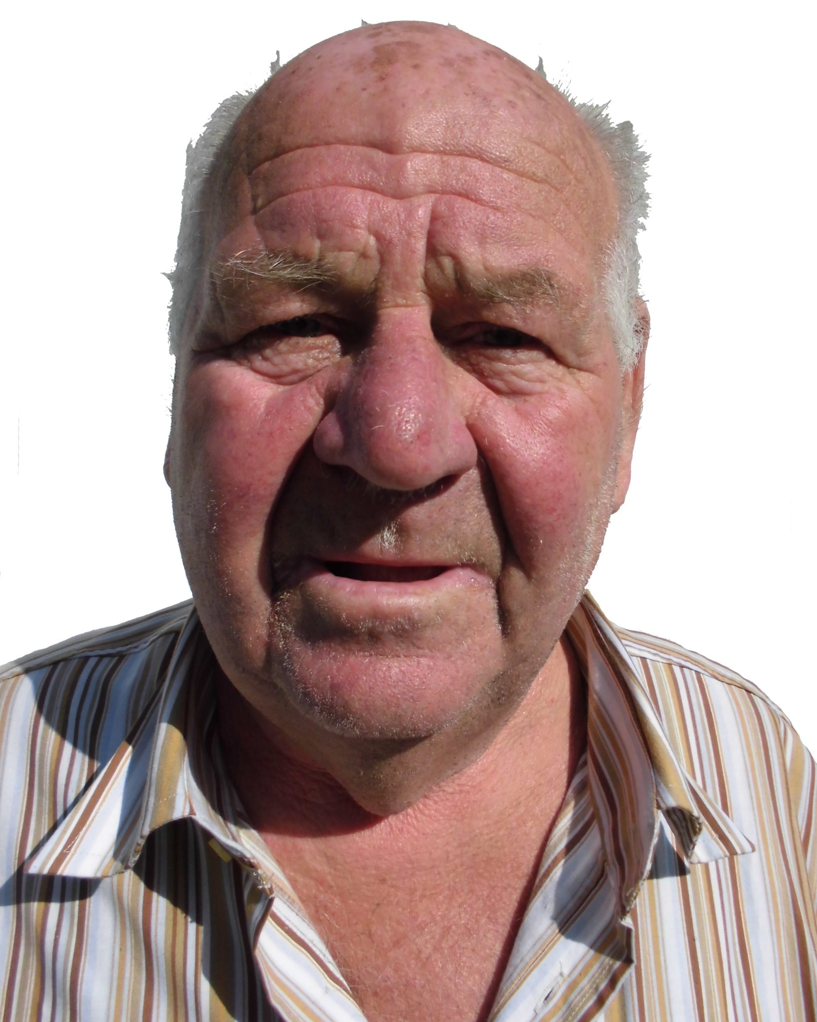 Gottfried Steininger